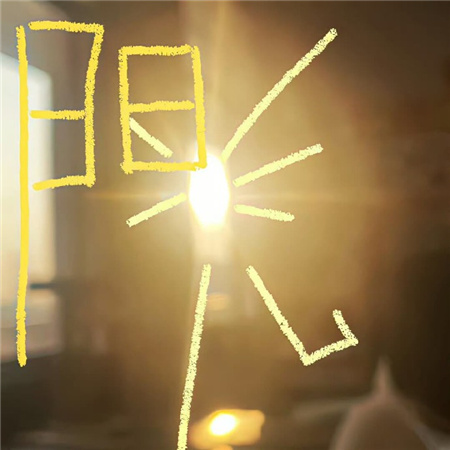 宠物知识体系